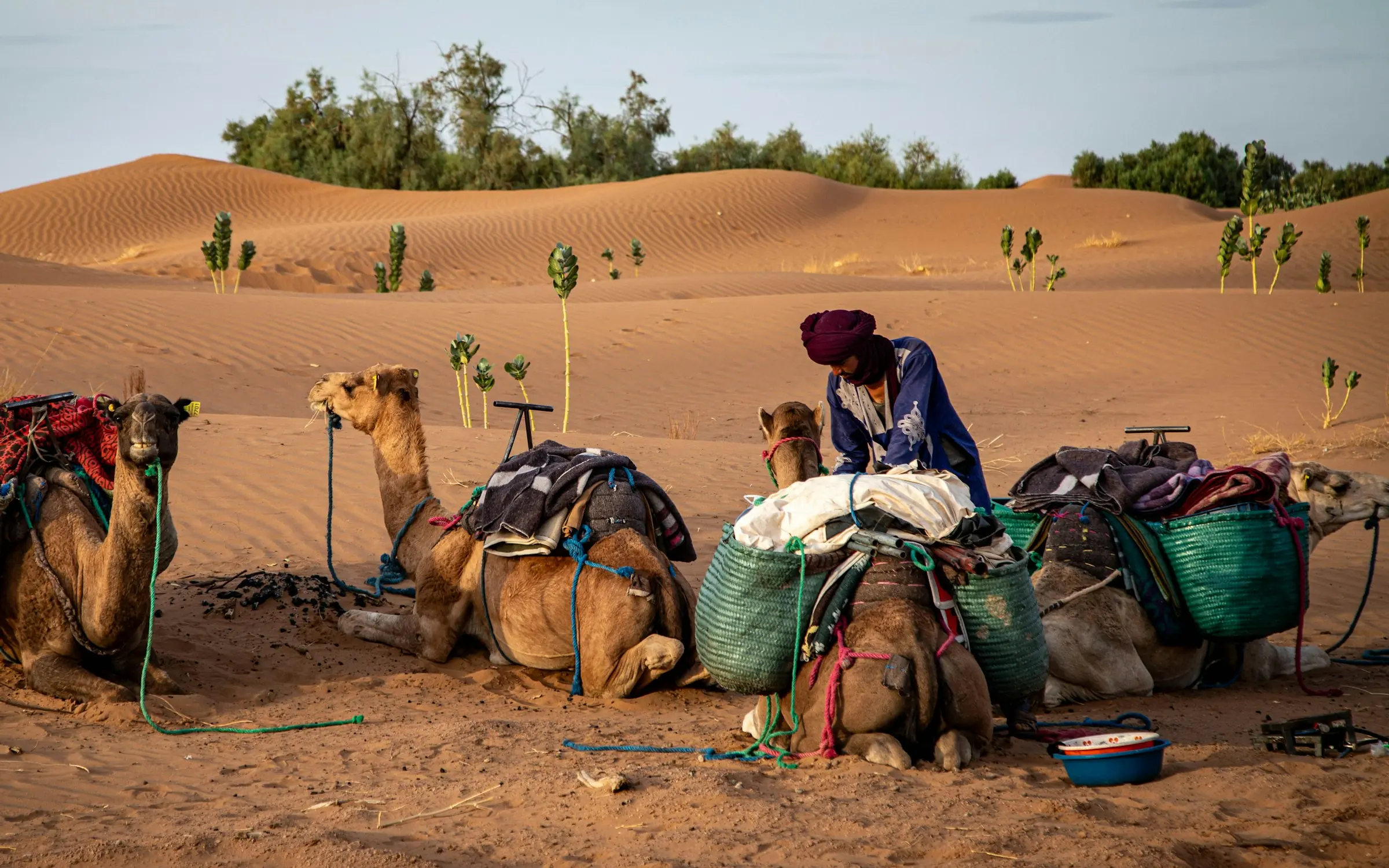 Nomaden beladen ihre Kamele zwischen den Dünen