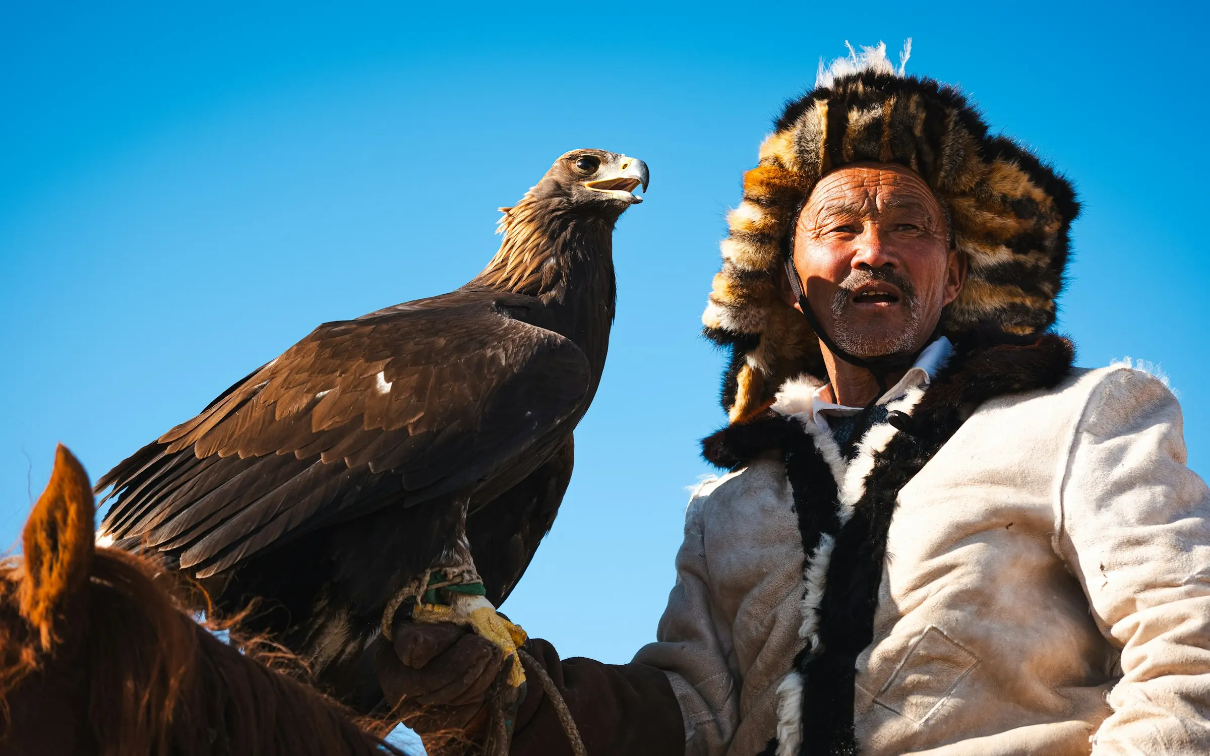 Ein kasachischer Adlerjäger zu Pferd mit seinem Steinadler