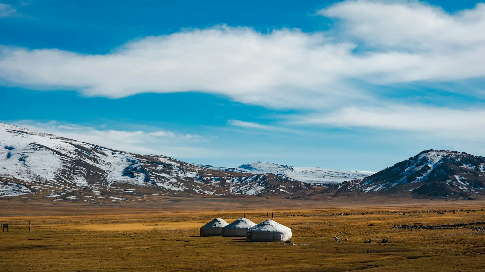 Gers en la estepa frente a montañas nevadas