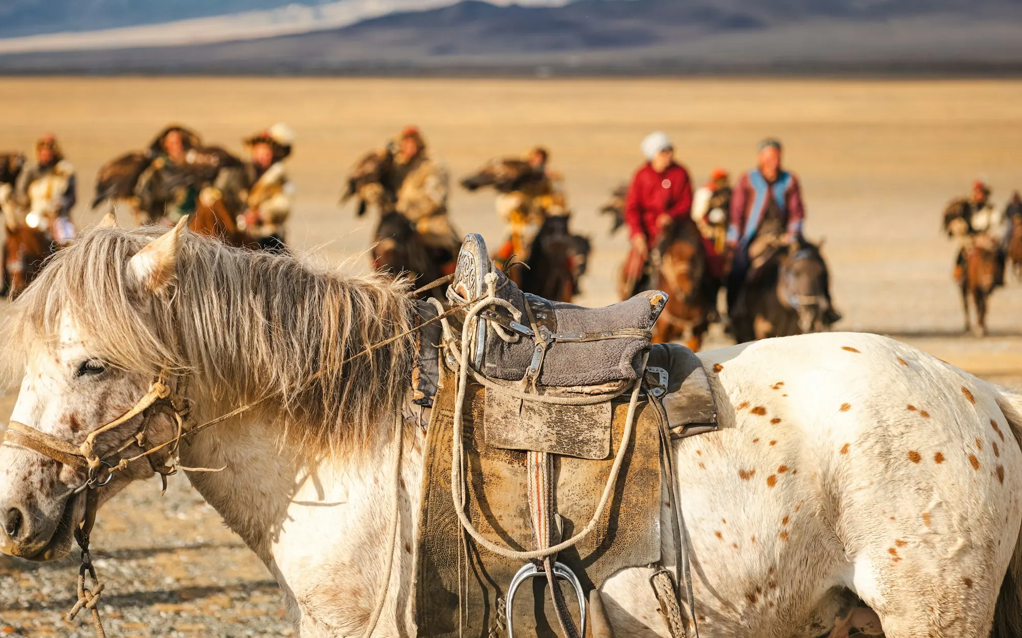 Caballos en la estepa del oeste de Mongolia